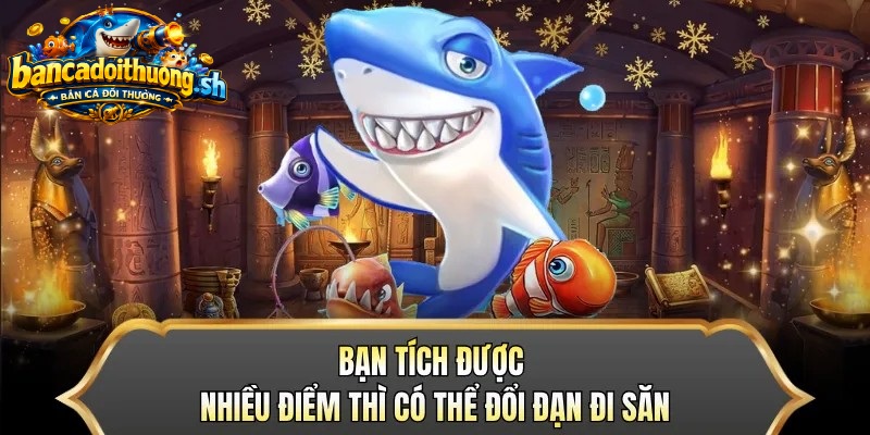 Bạn tích điểm đổi thưởng bắn cá được nhiều thì có thể đổi đạn đi săn