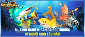5+ kinh nghiệm bắn cá đổi thưởng từ người chơi lâu năm
