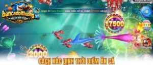 Cách xác định ăn cá 