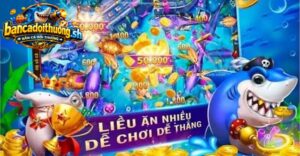 Xem xét kỹ thông tin nền tảng trước khi tham gia