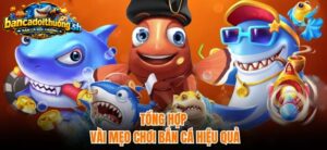 4+ Mẹo Chơi Bắn Cá Siêu Thị tổng hợp chơi hiệu quả